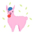 A pink llama in a cap and with a bubble of inflated chewing gum. Royalty Free Stock Photo