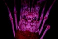 Pink lobster isolated on black alien movie looks alike