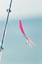 Pink lore and fishing hook with fishing rod