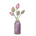 Pink lotus buds in ceramic vase. Bouquet of waterlily for interior decoration, comfort. Flower, bud, stem, flowerpot. Watercolor