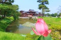 Pink lotus and Byodo-in temple in Kyoto, Japan Royalty Free Stock Photo