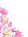 Pink lotus flower bouquets with buds illustration. Royalty Free Stock Photo