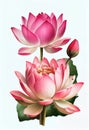 Pink lotus flower drawing isolated on white background. Watercolor, hand drawn style, ai generation