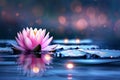 A pink lotus flower floating on the water, , with delicate petals glowing softly in the moonlight, reflecting off the shimmering