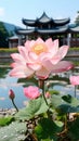 Pink lotus flower in full bloom, with a traditional Asian pagoda and mountains in the background, reflecting serenity and natural Royalty Free Stock Photo