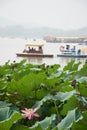 Pink lotus flower, leaves in foreground; boats on misty lake