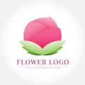 Pink lotus flower logo design isolated background