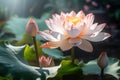 Pink lotus flower plants in water. Generative Ai Royalty Free Stock Photo