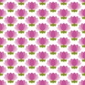 Pink Lotus Flower Seamless Pattern Royalty Free Stock Photo