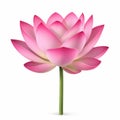 Pink lotus flower with a stem, with light and dark pink gradients Royalty Free Stock Photo
