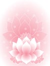 Pink lotus Royalty Free Stock Photo