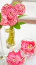 Pink lotus, water lily decorate in glass. Modern style theme for