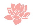 Pink lotus water lily flower vector Royalty Free Stock Photo