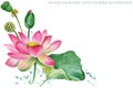 Pink lotus. watercolor botanical illustration.