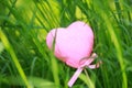 A pink love shaped foam toy gift lying on green grass lawn in summer spring autumn, close up