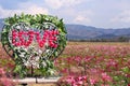 Pink love sign with heart shape patterns in cosmos flower garden field on mountains cloud blue sky space background for Valentine Royalty Free Stock Photo