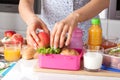 Pink lunch box for little girl Royalty Free Stock Photo