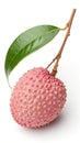 Pink lychee fruit bumpy skin green leaf image Royalty Free Stock Photo