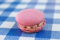 Pink macaron sitting on a blue check pattern Royalty Free Stock Photo
