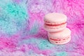 Pink macaroon on Fur of a unicorn, rainbow background. Trendy design of webpunk and vaporwave. Copy space Royalty Free Stock Photo