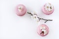 Pink macaroons with a branch of white flowers on a white background.