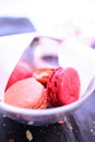 Pink macaroons in glass bowl Royalty Free Stock Photo
