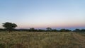 Pink and magenta sunrise in Okonjima Nature Reserve, Namibia Royalty Free Stock Photo