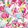 Pink magnolia and bird on an isolated white background, watercolor spring flowers. Seamless pattern Royalty Free Stock Photo