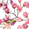 Pink magnolia floral botanical flowers. Watercolor background illustration set. Seamless background pattern.