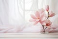 Pink magnolia flowers in glass vase near the window with tulle fabric Royalty Free Stock Photo