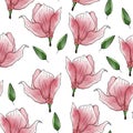 Pink blooming magnolia sakura with small green leaves seamless pattern. Royalty Free Stock Photo