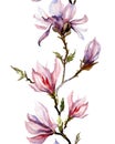 Pink magnolia flowers on a twig on white background. Seamless pa