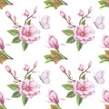 Pink magnolia seamless pattern. Branch flower, buds, leaves, white butterfly. Blooming floral clipart. Hand drawn Royalty Free Stock Photo