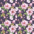 Pink magnolia seamless pattern. Branch flower, buds, leaves, white butterfly. Blooming floral clipart. Hand drawn Royalty Free Stock Photo