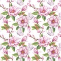 Pink magnolia seamless pattern. Branch flower, buds, leaves, white butterfly. Blooming floral clipart. Hand drawn Royalty Free Stock Photo