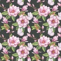 Pink magnolia seamless pattern. Branch flower, buds, leaves, white butterfly. Blooming floral clipart. Hand drawn Royalty Free Stock Photo