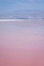Pink Maharloo Lake near Shiraz, Iran