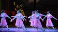 The Pink Maid-The first act of dance drama-Shawan events of the past