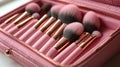 Pink Makeup Brushes Set in Case, Professional Cosmetics Tools, Beauty Accessories, Rose Gold Detail Royalty Free Stock Photo