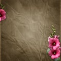 Pink mallow on retro background