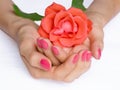 Pink manicure and scarlet rose