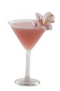 Pink Martini Cocktail