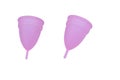 Pink menstrual cups isolated on a white background. Woman hygiene Royalty Free Stock Photo