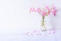 Pink Mexican Creeper flowers in water glass bottle on white wooden table with cement wall background Royalty Free Stock Photo