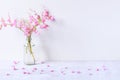 Pink Mexican Creeper flowers in water glass bottle on white wooden table with cement wall background Royalty Free Stock Photo