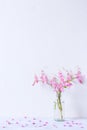 Pink Mexican Creeper flowers in water glass bottle on white wooden table with cement wall background Royalty Free Stock Photo