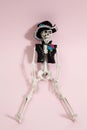 Pink mexican skeleton Royalty Free Stock Photo