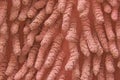 Pink microfiber background and texture with long hair. Design elements