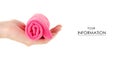 The pink microfibre rag cloth roll in hand pattern Royalty Free Stock Photo