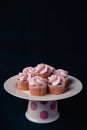 Pink mini strawberry cupcakes on a dark background